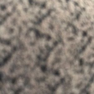 Meet your Posher, Jody